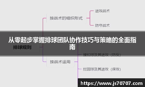 从零起步掌握排球团队协作技巧与策略的全面指南